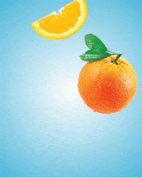 Orange Slice GIF by Yanga Sports Water Orange Slice GIF by Yanga Sports Water