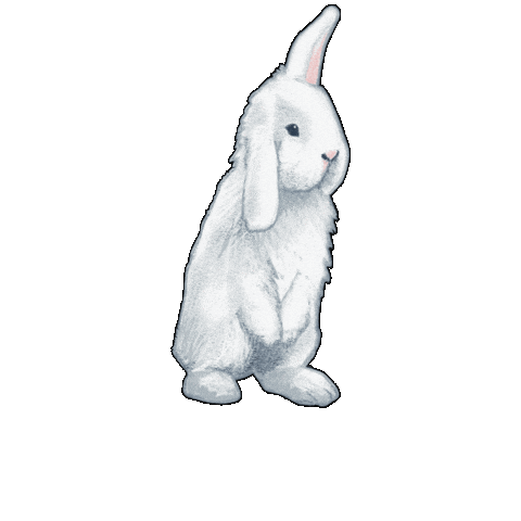 Skz Straykids Sticker