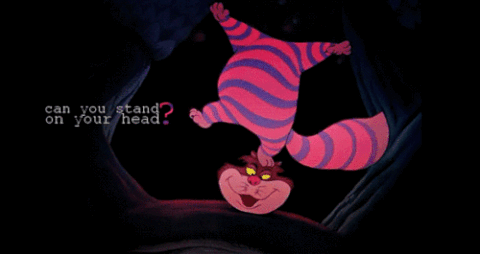 cheshire cat
