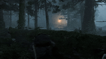 The Last Of Us Forest GIF by Naughty Dog