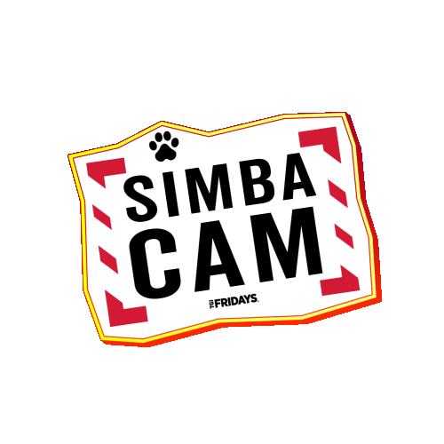 Pet Panama Sticker by Unesa