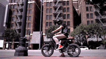 Downtown Bandit GIF by FLX Bike
