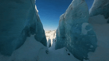 Snowboarding GIF by Zeal Optics