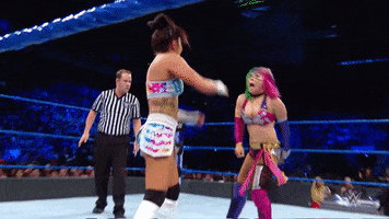 smackdown live wrestling GIF by WWE