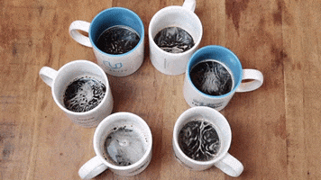 Coffee Cafã© GIF by Udacity Brasil