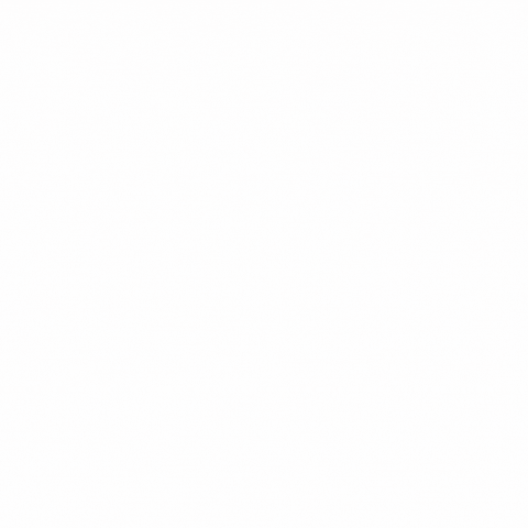 Protein Synthesis Service GIF