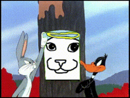 Cat GIF