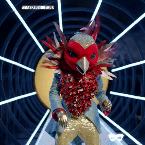 Robin GIF by The Masked Singer UK