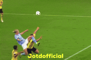 Erling Haaland GIF