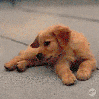bubbles