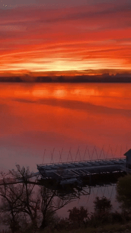 Good Morning GIF by Storyful