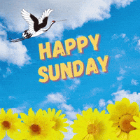 Blessed-sunday GIFs - Get the best GIF on GIPHY Blessed-sunday GIFs - Get the best GIF on GIPHY
