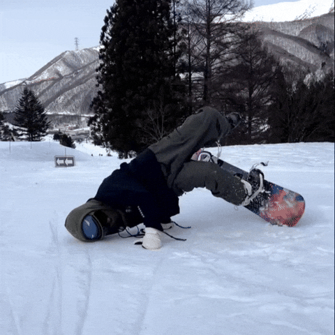 Janefu GIF