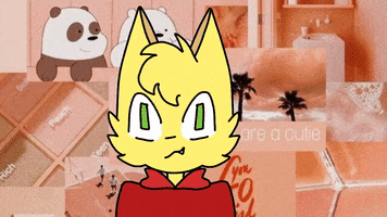 Cat GIF