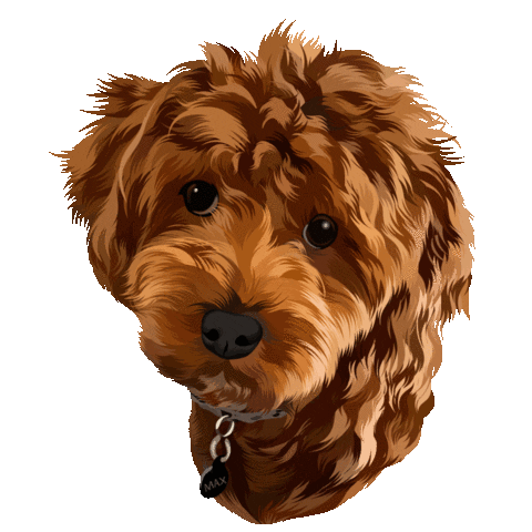 Dog Max Sticker by Complete Home Improvement