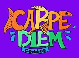 Seize The Day GIF by Coddies