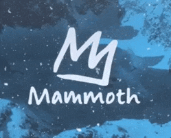 Mammoth Mountain GIF by Justin