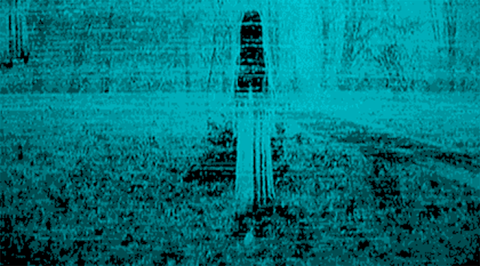 the ring