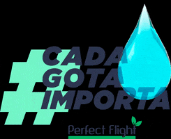 Perfect Flight GIF