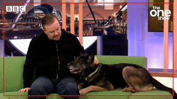 Ricky Gervais Kiss GIF by BBC The One Show