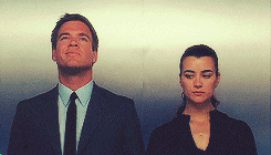 ziva david s4 GIF