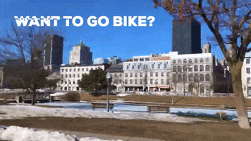 Explore Old Montreal GIF by Casol