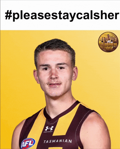 Hawthorn Hawks Afl GIF