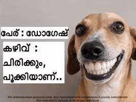 Congress Kerala GIF
