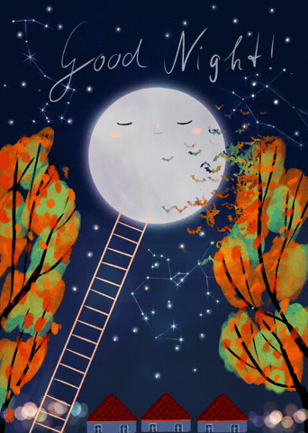Good Night Mond GIF