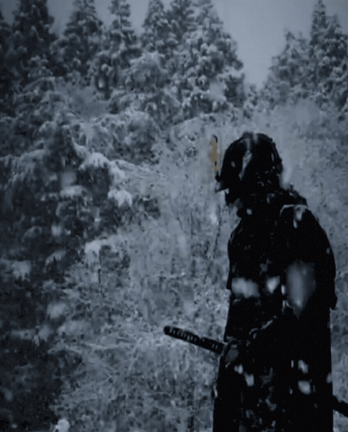 Snow GIF