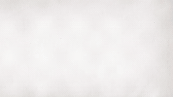 Kidneys Nkf GIF by National Kidney Foundation