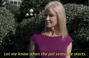 Kellyanne Conway The Hatch Act GIF by GIPHY News