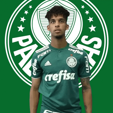 tamo junto aceito GIF by SE Palmeiras