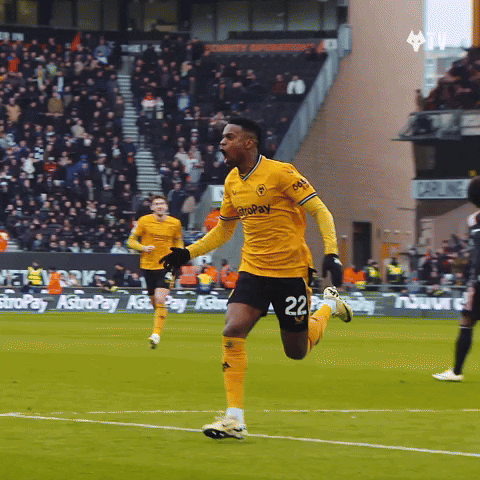 Sliding In Premier League GIF by Wolves