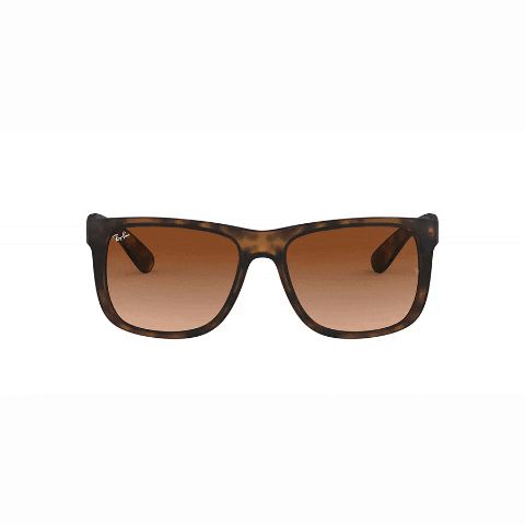 OpticaTurati fashion sunglasses lentes gafas GIF