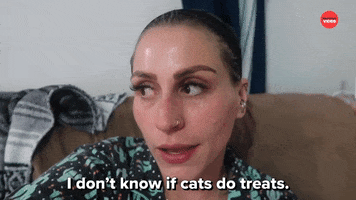 Cats Dog Person GIF by BuzzFeed