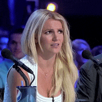 Confused Laugh gifs - Find & Share on GIPHY