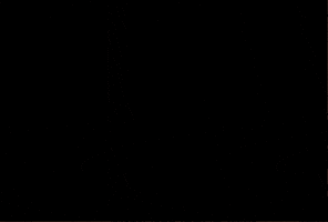 On My Way Spartans GIF