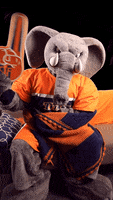 College Csuf GIF by Cal State Fullerton