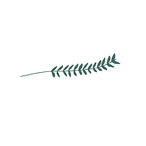 Flower Sticker