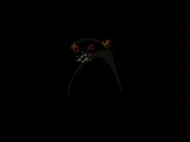 Beckum Rumskedi Schwarzerkater Rumskedikater GIF