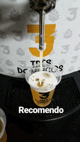 Beer Cerveja Artesanal GIF by Três Domingos
