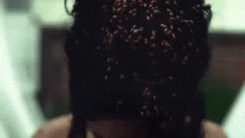 200.gif?cid=fc005b0827ce80e15909d6047a42b8e1b29b6ac8283108b5&rid=200.gif&ct=g