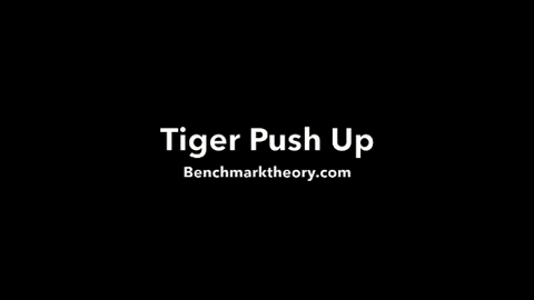 Tiger-Push-Up Gifs - Get The Best Gif On Giphy
