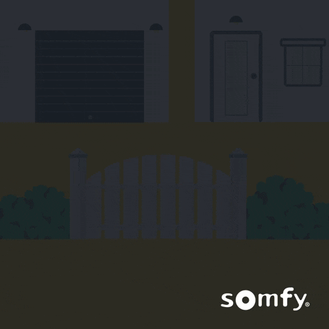 Car Home GIF by Somfy
