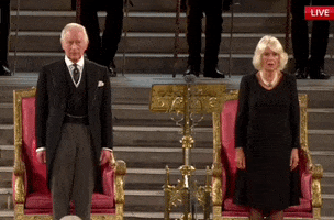 King Charles Queen GIF by GIPHY News