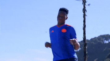 Yerry Mina Futbol GIF
