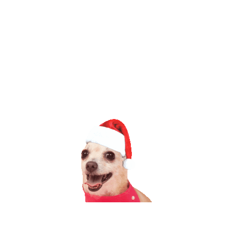 Snow Sticker