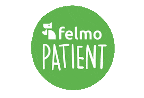 felmo Sticker