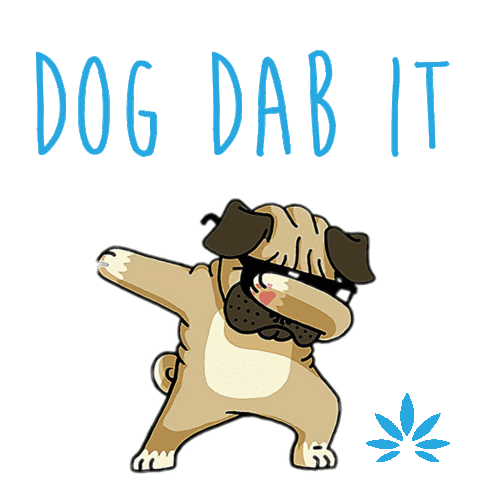 Dog Fetch Sticker by Extract Labs